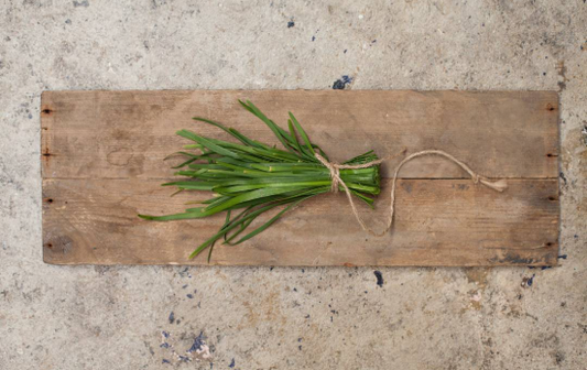 Seedling trays, memories and looking around you